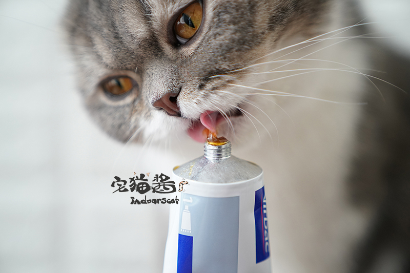 Nước sốt mèo nhà Đây không phải là kem dinh dưỡng bấc Virbac France - Cat / Dog Health bổ sung sữa cho chó mèo