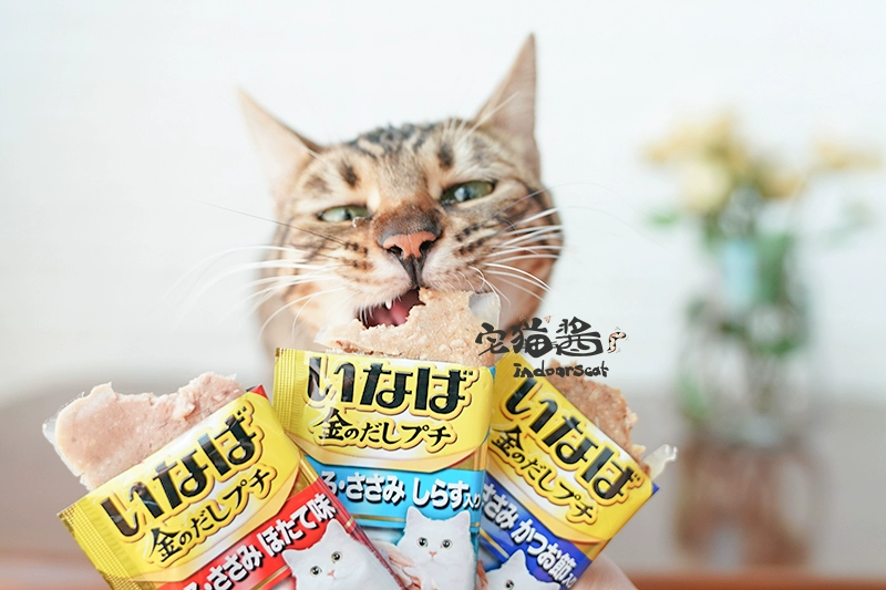 House Cat Sauce Ina Baojins Tasty Food Food Cat Snacks Pet Green Tea Formula Dinh dưỡng vào Cat Soft Pack Snacks hạt whiskas cho mèo con