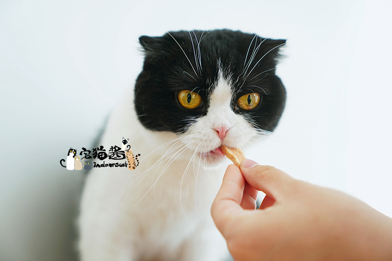 Nhà mèo nước sốt Inabao tuyệt vời hương vị nướng mèo đồ ăn nhẹ Mèo dinh dưỡng thực phẩm trà xanh khử mùi công thức bánh quy hạt canin