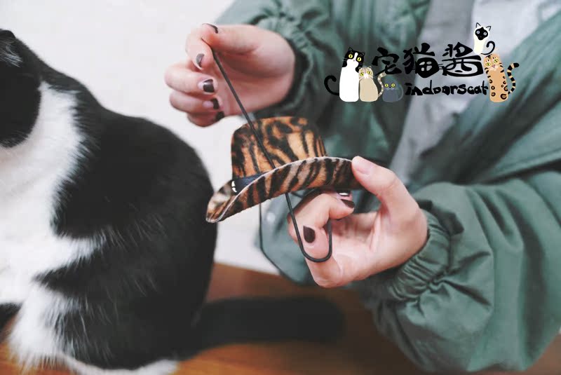 Nước sốt mèo nhà, biến thành một cảnh sát trưởng nhỏ, mũ trang phục mèo, mũ cao bồi mèo, phụ kiện ảnh thú cưng - Quần áo & phụ kiện thú cưng phụ kiện cho chó poodle