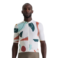 Береза/мульти -коррорская мужская модель