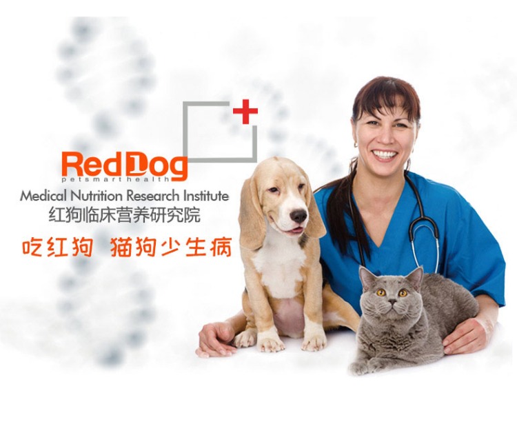 Kem dinh dưỡng chó đỏ thành chó con, mèo, chó, chó, thai sản, schnauzer đặc biệt, gấu bông, lông vàng, dinh dưỡng vật nuôi, sản phẩm sức khỏe sữa cho chó con bio milk