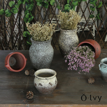 olvy Euler creative handmade ceramics Home interior decoration ornaments insert dried flowers Retro literary pottery