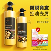 Sentient new upgrade old ginger juice anti-hair loss oil control anti-dandruff ginger shampoo conditioner set for men and women