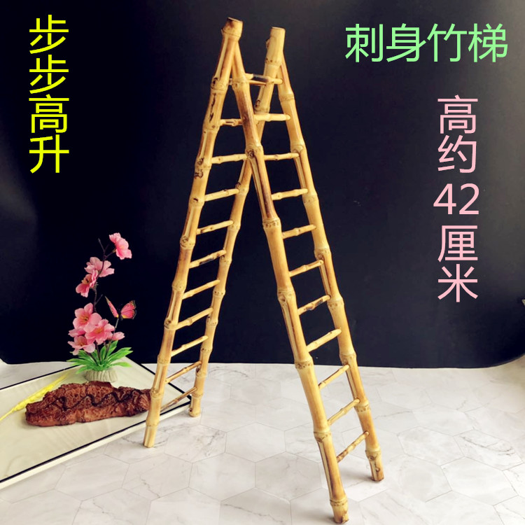 Western restaurant hotel dishes cold dish decoration creative embellishment sashimi plating plate salmon flowers and grass step by step bamboo ladder