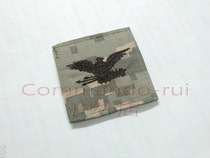 UCP color U.S. Army USARMY ACU Colonel rank badge Velcro