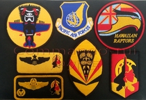 The 199th Fighter Sq F-22 Raptor Badge of the United States Air Force 199th Fighter Raptor