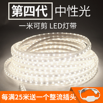 (Can be equipped with no strobe)Neutral light with 4300K 4000K natural light LED strip light with light ceiling