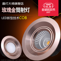 American ceiling light Rose Gold downlight led European spotlight 3wcob Jane European living Room chandelier Background wall Bulls eye lamp