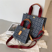 Hong Kong Toto 2021 new trend pet large capacity fashion This year popular niche design crossbody super fire