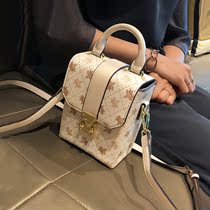 Fashion Got Talent Recommended Cell Phone Bag Skew Satchel Bag Pet Backpack Printed Little Square Bag Type Grass Small Red Book Co