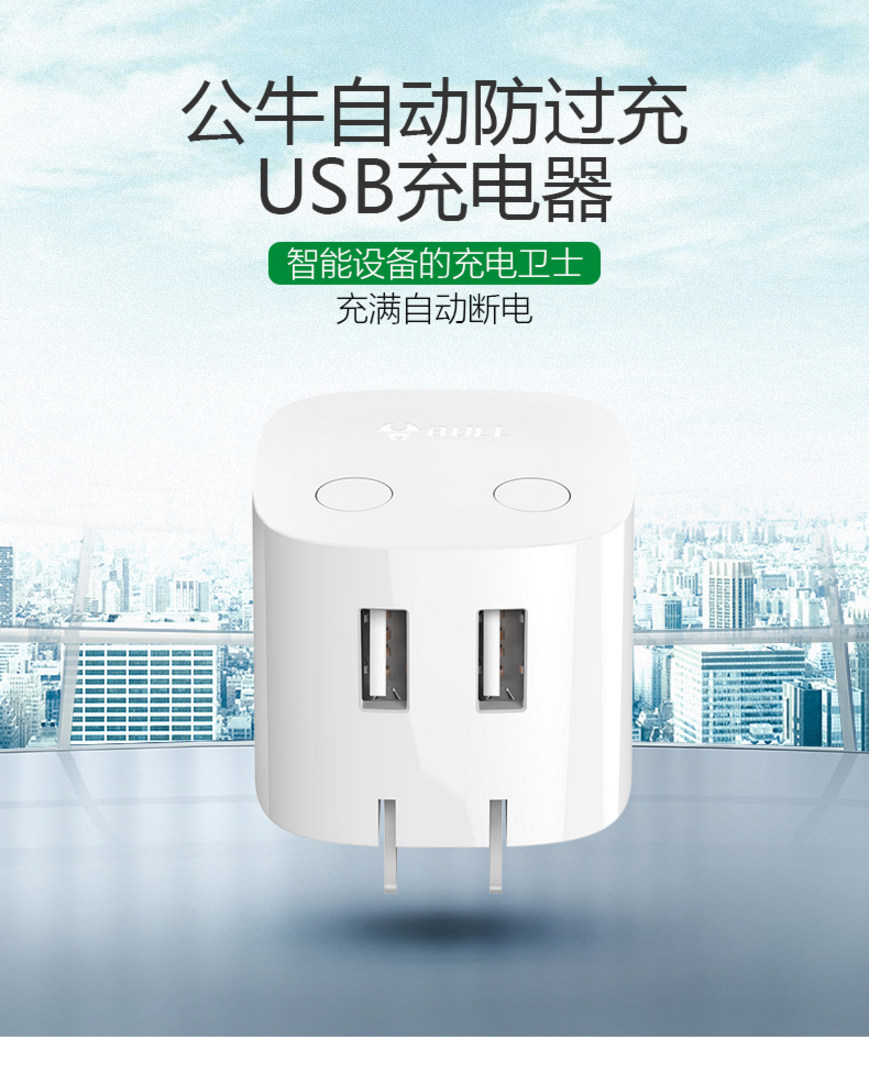 chargeur BULL - Ref 1291273 Image 7