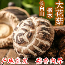 Wild big mushroom northeast Changbai Mountain basderwood Super Dry Goods 250g new goods selected shiitake mushrooms