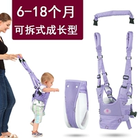 Полный стадий в стиле шесть (Four Seasons Universal Light Purple