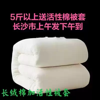Xinjiang cotton quilt cotton quilt core quilt winter quilt spring and autumn thickened warm single double cushion student dormitory