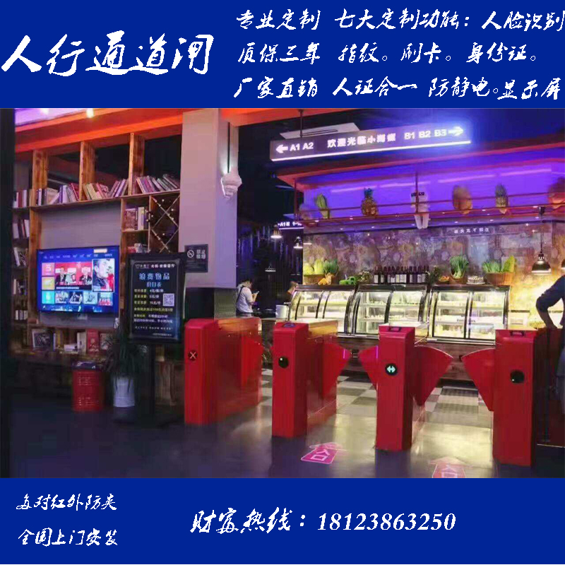 Swimming Pool Face Recognition Wing Gate Training Institution Swipe Access Control Site Real Name Brake Access Gate ESD electrostatic brake