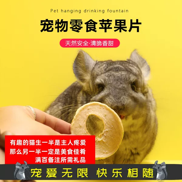 Товары от 逸宠天下龙猫店