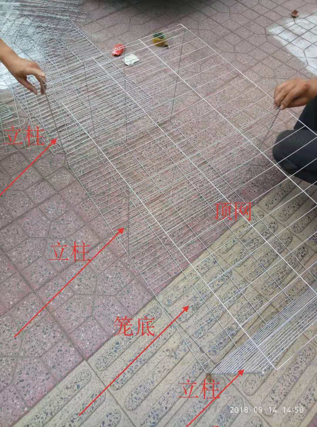 Nuôi lồng chim bồ câu Lồng chim bồ câu Hộ gia đình 2 chỗ 4 chữ số 6 Lồng chim bồ câu Lồng chuồng Bồ câu chuồng - Chim & Chăm sóc chim Supplies lồng chim cu gáy