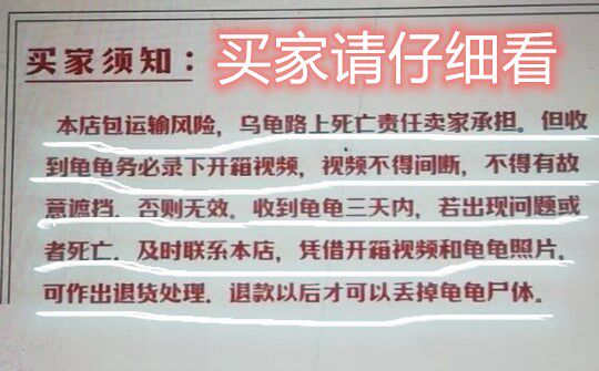 Guangdong Grand Cousin Live Room Spot Connection Invalid