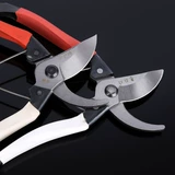 Фруктовые ветви красной сливы, ветви, ножницы, карта бумажная упаковка SK-5 в горшках и листьях