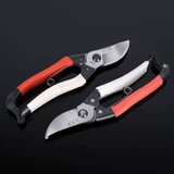 Фруктовые ветви красной сливы, ветви, ножницы, карта бумажная упаковка SK-5 в горшках и листьях