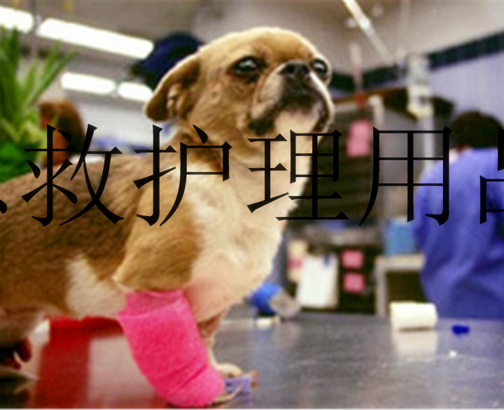 Protection sport - Ref 585398 Image 34