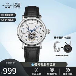 Seagull seagull watch men's automatic mechanical watch trend multifunctional fashion hollow flywheel watch 317/316