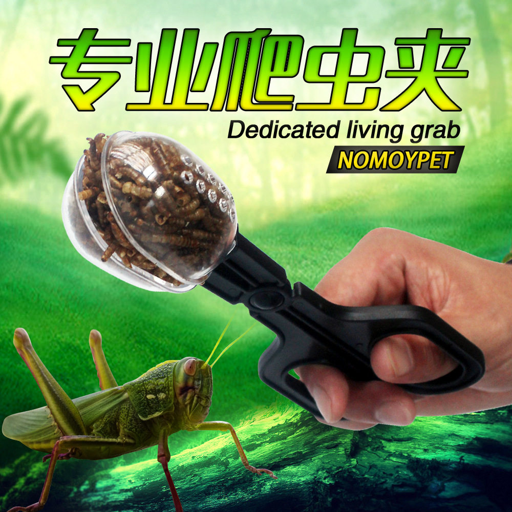 Reptile bred live insects grab spider lizard scorpion chameleon cricket Dobia food clean up manure