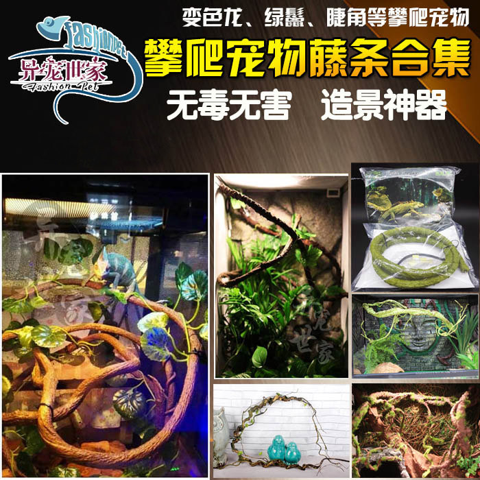 Chameleon rearing box Reptile Boxes Host Crab Climbing Landscape tree Vine Jungle Vine rainforest Vat Climbing the Climbing Darling box Rattan Rattan