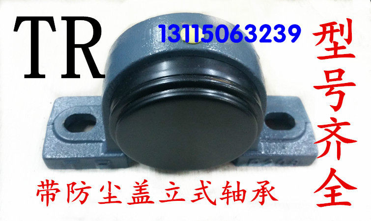 Dongguan TR outer spherical seat bearing UCP207E1 UCP208E1 UCP209E1 with dust cover seal
