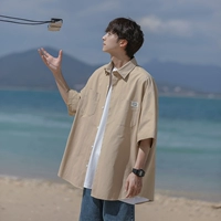 Абрикосовый