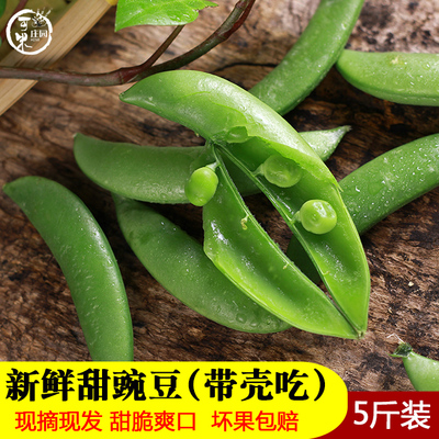 Yunnan Fresh Shell Sweet Bean Green Bean Fresh Pea Pods зеленый горох Несульнистый бобовый сладкий горох свежие овощи 5 кот