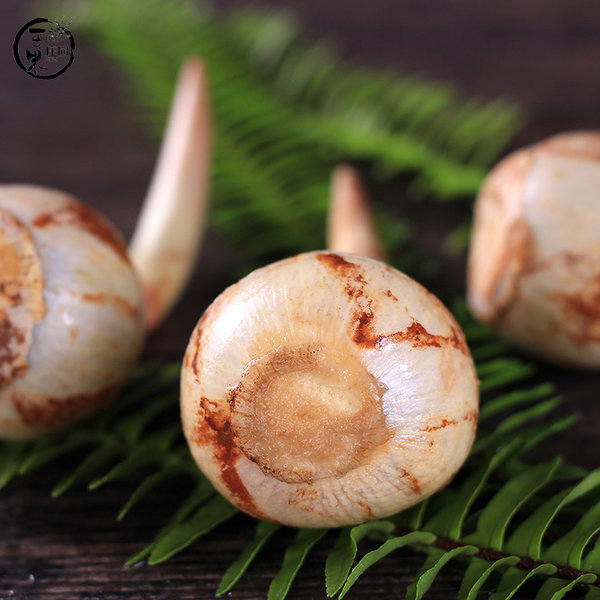 可米庄园 云南新鲜白茨菇 5斤 天猫优惠券折后￥27.9包邮（￥32.9-5）