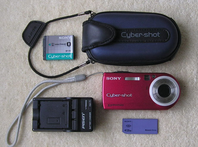 Sony Sony DSC-P100 digital camera