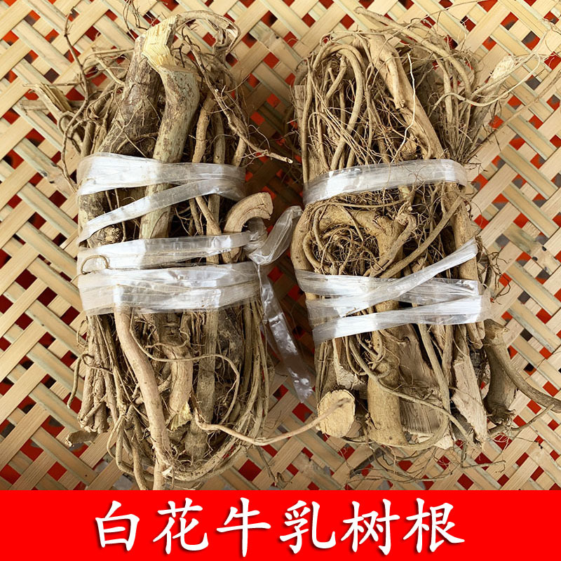 Guangdong Specialty Wild White Flower Milk Tree Root Milk Root Soup Ingredients 500g
