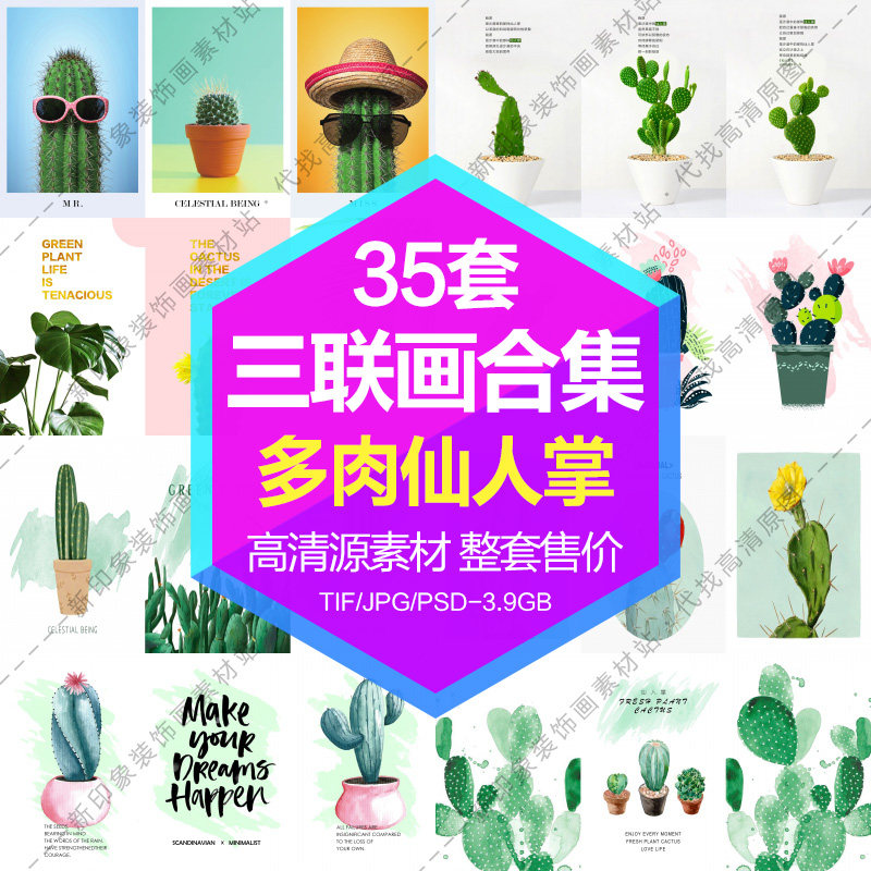 Decorative Drawing Core High Definition Picture Green Plant Multi Meat Cactus Triptych Composition Suit Electronic Picture Design Material