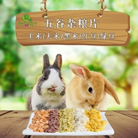 Петумические закуски для пищи голландские свиньи, грызуны, рыба, пентаграмма, зерновое зубное кормление, закусочная кукурузная таблетка, 100 г.