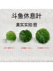 Betta Fish Sleeping, Resting, Spawning, Leaf-Shaped Aquarium Decoration, Artificial Leaf Fish Pet Decoration, Hiding Lotus Leaf