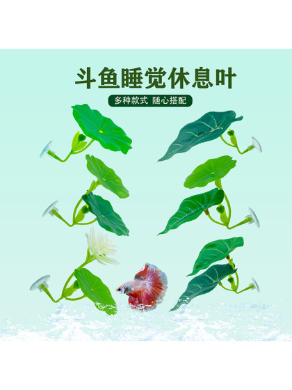 Thai Fighting Fish Resting Leaves, Habitat Leaves, Hiding and Spawning Leaves, Lotus Leaves, Sleeping Bed, Landscaping, Artificial Aquatic Plants, Leaves