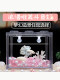 Acrylic Small Desktop Aquarium for Bettas, Creative Ecological Building Block Box for Home Decoration, Complete Set