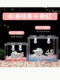 Acrylic Small Desktop Aquarium for Bettas, Creative Ecological Building Block Box for Home Decoration, Complete Set