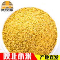 Loess love fragrance millet 2020 Northern Shaanxi millet grains farmhouse millet 500g non-rice millet porridge