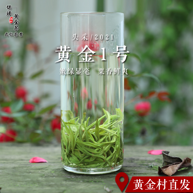 2021 New Xiangxi Baojing Golden Tea Mingqian Premium 100g Hunan High Mountain Cloud Mao Jian Green Tea Leaf Gift Box
