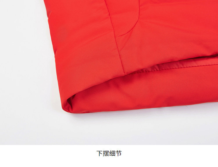 Blouson homme BOSIDENG    - Ref 3122014 Image 36