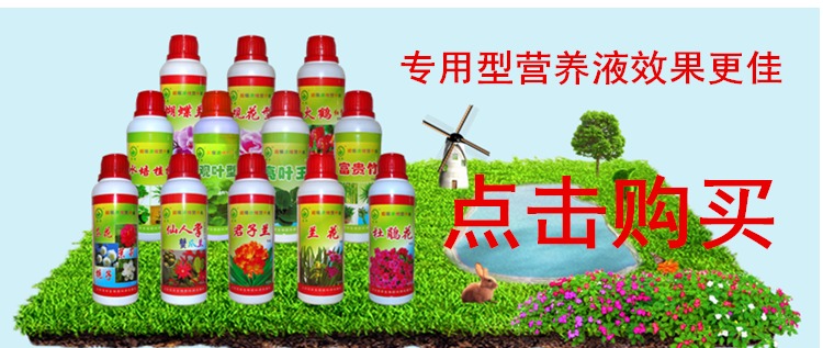 Hoa phân bón dung dịch dinh dưỡng Phổ hoa cây xanh phân bón nguồn cung cấp vườn hoa phân bón nhà máy khuyến mãi bán hàng trực tiếp vòi tưới cây phun sương