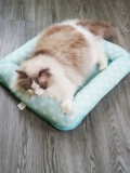 Подушка для собак Pet Pad Four Seasons Универсальный маленький средний средний большой средний средний цвет для собак и кошачьей клетки клетки клетки клетки клетки