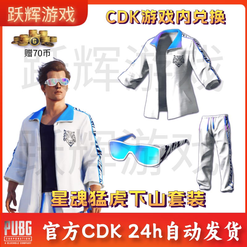 Pubg Playerunknown's Battlegrounds Skin Star Soul Tiger Downhill Sports Set Cdk White Sports Ski Goggles