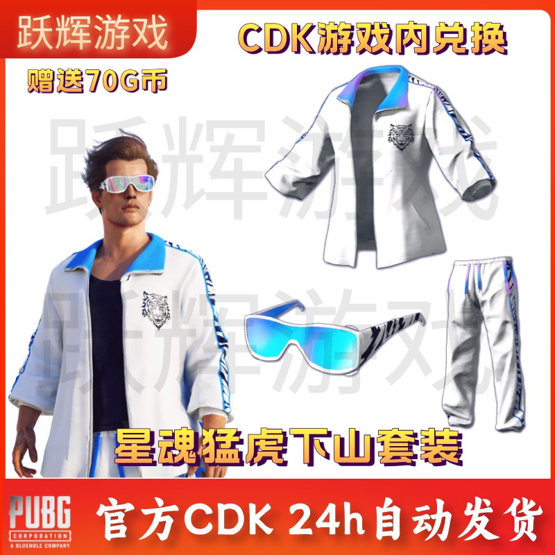 Pubg Playerunknown's Battlegrounds Skin Star Soul Tiger Downhill Sports Set Cdk White Sports Ski Goggles
