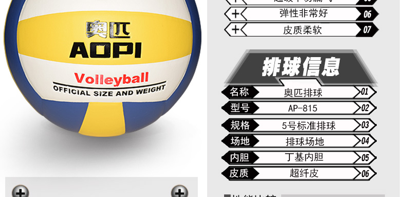 Ballon de volley - Ref 2009078 Image 10