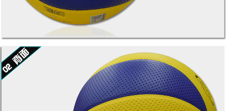 Ballon de volley - Ref 2009078 Image 65